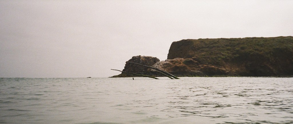 An Old Journal (and Surfline) Sends Me&nbsp;Somewhere