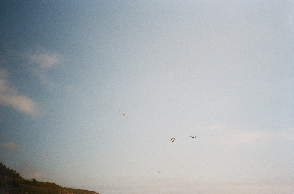 Alone and In the&nbsp;Water