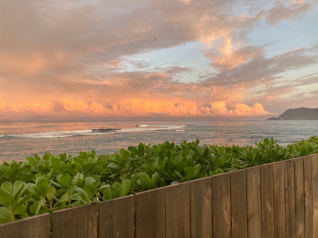 A Year Without the&nbsp;WSL