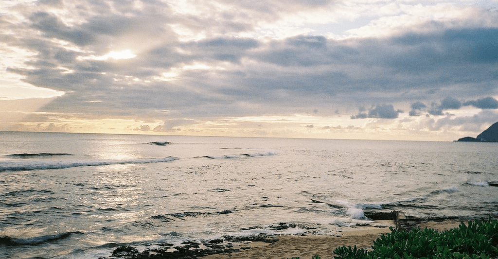 While I Was&nbsp;Away