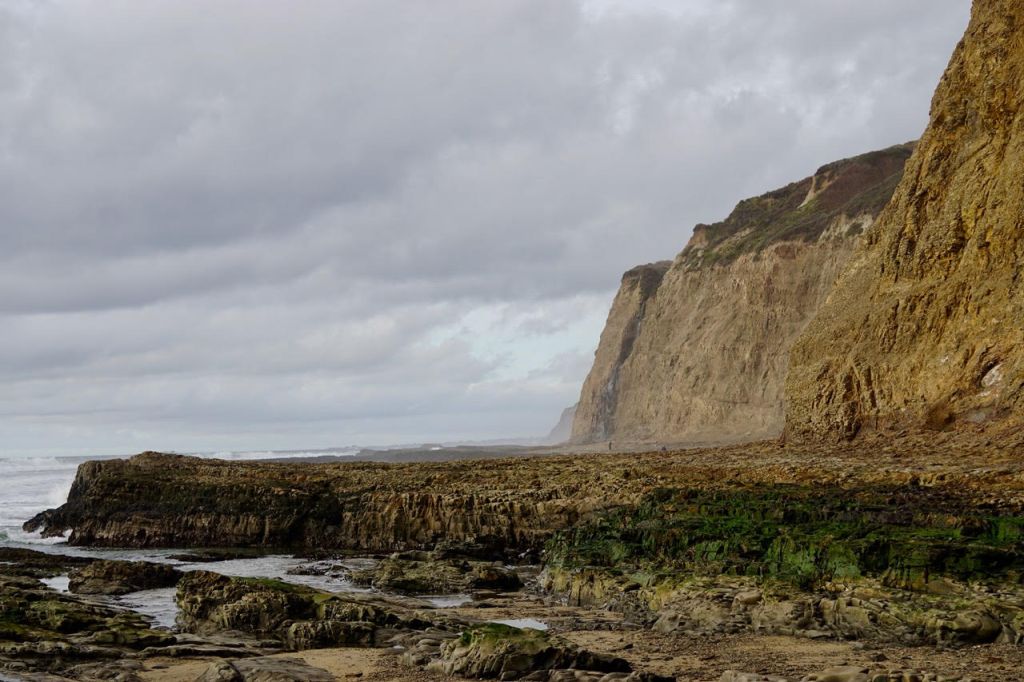 An Early Morning with Big Boards (and Bigger&nbsp;Surf)