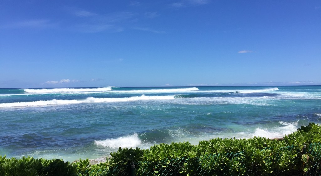 Reader Submission: The&nbsp;Namers