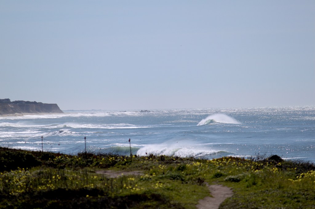 Springtime Reflections
